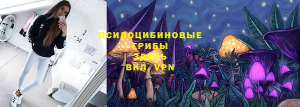 соль ск Аркадак