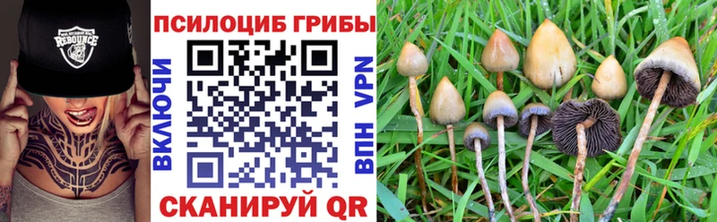 сайты даркнета клад цена наркотик Пугачёв Галлюциногенные грибы GOLDEN TEACHER